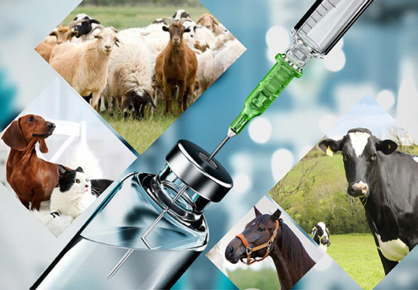 Zvyšování veterinárních léčivých přípravků s hydroxypropyl beadex